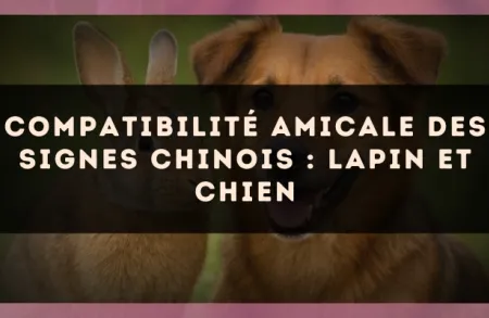 Compatibilité amicale des signes chinois : Lapin et Chien