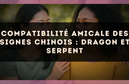 Compatibilité amicale des signes chinois : Dragon et Serpent