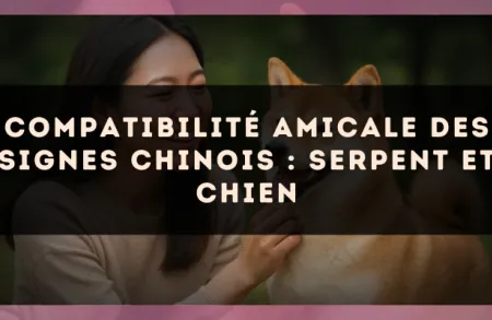 Compatibilité amicale des signes chinois : Serpent et Chien