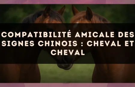 Compatibilité amicale des signes chinois : Cheval et Cheval