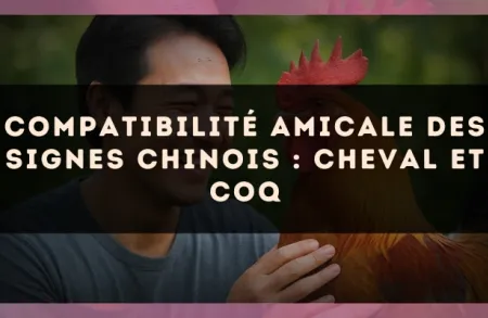 Compatibilité amicale des signes chinois : Cheval et Coq