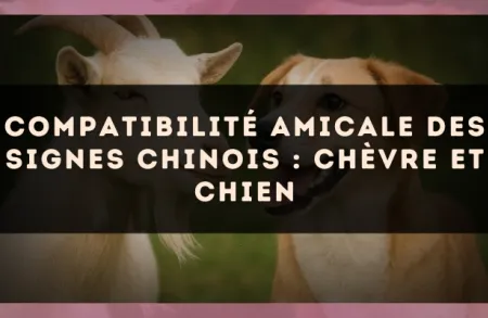 Compatibilité amicale des signes chinois : Chèvre et Chien