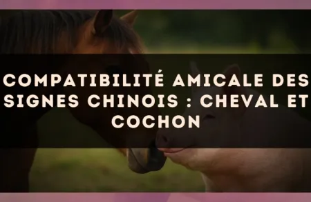 Compatibilité amicale des signes chinois : Cheval et Cochon