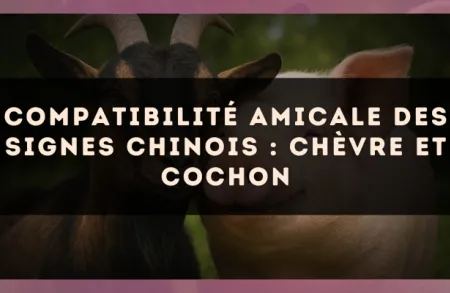 Compatibilité amicale des signes chinois : Chèvre et Cochon