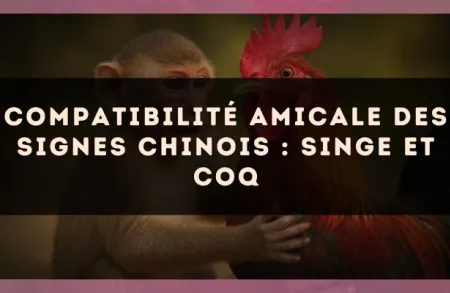 Compatibilité amicale des signes chinois : Singe et Coq
