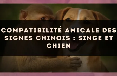 Compatibilité amicale des signes chinois : Singe et Chien