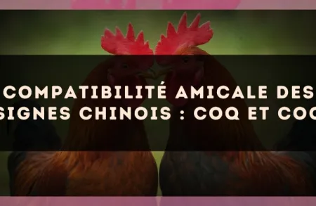 Compatibilité amicale des signes chinois : Coq et Coq