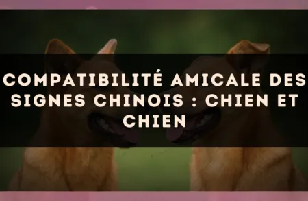 Compatibilité amicale des signes chinois : Chien et Chien