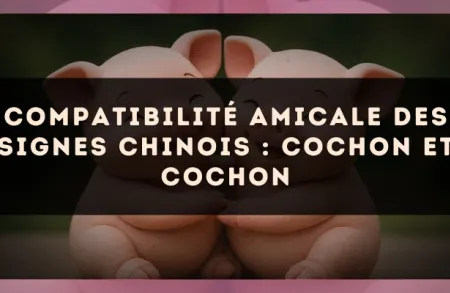 Compatibilité amicale des signes chinois : Cochon et Cochon