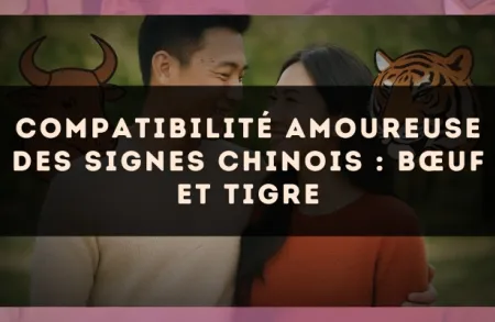 Compatibilité amoureuse des signes chinois : Bœuf et Tigre