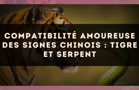 Compatibilité amoureuse des signes chinois : Tigre et Serpent
