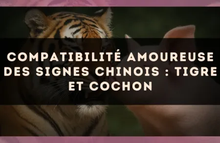 Compatibilité amoureuse des signes chinois : Tigre et Cochon