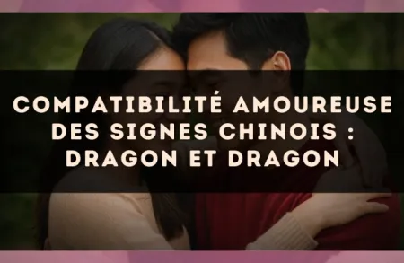 Compatibilité amoureuse des signes chinois : Dragon et Dragon