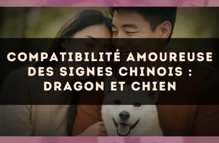 Compatibilité amoureuse des signes chinois : Dragon et Chien