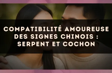 Compatibilité amoureuse des signes chinois : Serpent et Cochon
