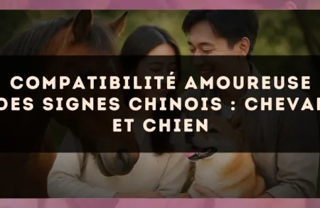 Compatibilité amoureuse des signes chinois : Cheval et Chien