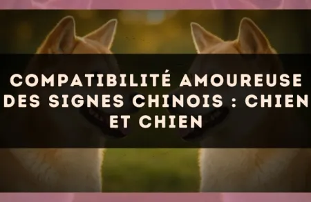 Compatibilité amoureuse des signes chinois : Chien et Chien