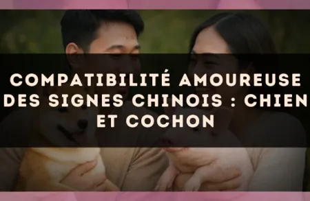 Compatibilité amoureuse des signes chinois : Chien et Cochon
