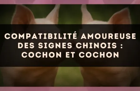Compatibilité amoureuse des signes chinois : Cochon et Cochon