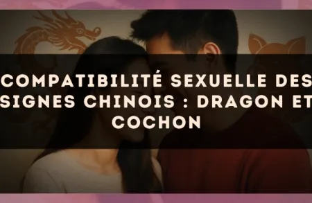 Compatibilité sexuelle des signes chinois : Dragon et Cochon