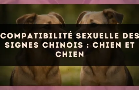 Compatibilité sexuelle des signes chinois : Chien et Chien