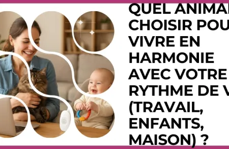 Test - Quel animal choisir pour vivre en harmonie avec votre rythme de vie (travail, enfants, maison) ?