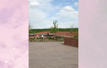 Thème Astral Eric Harris