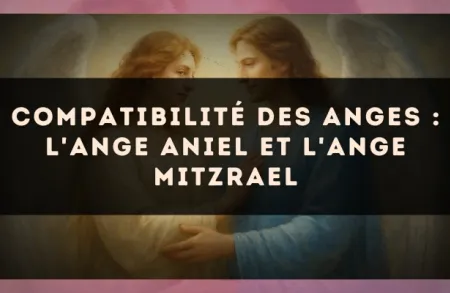 Compatibilité des anges : l'Ange Aniel et l'Ange Mitzrael