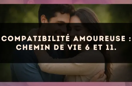 Compatibilité amoureuse : Chemin de Vie 6 et 11.