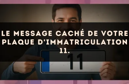Le message caché de votre plaque d'immatriculation 11.