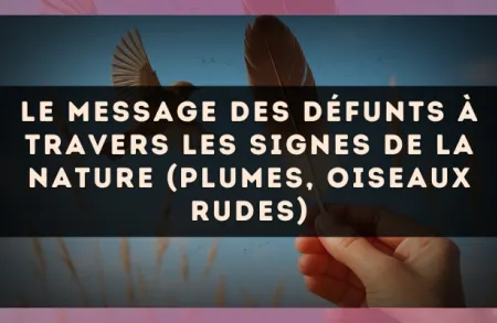 Le message des défunts à travers les signes de la nature (plumes, oiseaux rudes)