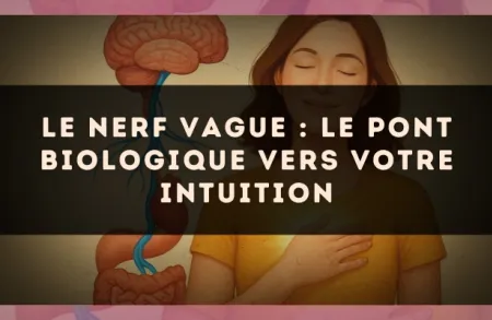 Le nerf vague : le pont biologique vers votre intuition