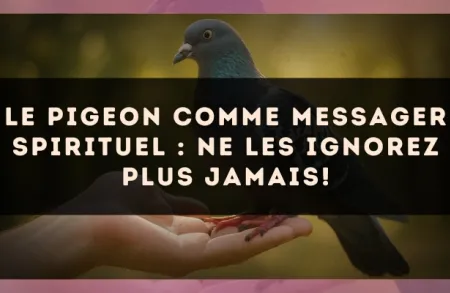 Le pigeon comme messager spirituel : ne les ignorez plus jamais!