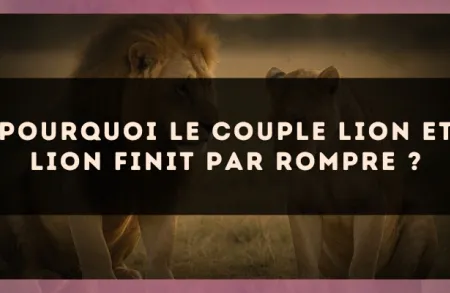 Pourquoi le couple Lion et Lion finit par rompre ?