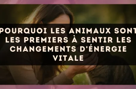Pourquoi les animaux sont les premiers à sentir les changements d'énergie vitale