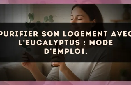 Purifier son logement avec l'Eucalyptus : mode d'emploi.