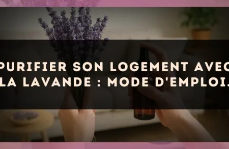 Purifier son logement avec la Lavande : mode d'emploi.