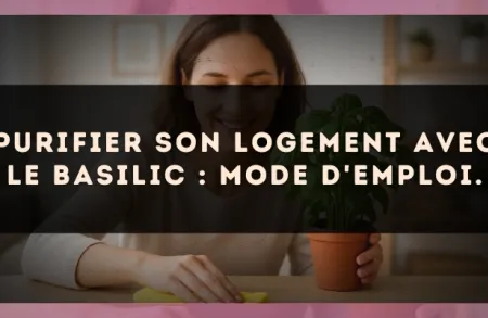 Purifier son logement avec le Basilic : mode d'emploi.