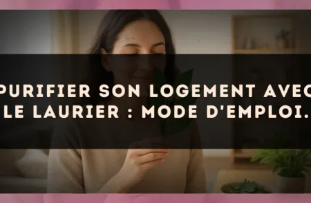 Purifier son logement avec le Laurier : mode d'emploi.