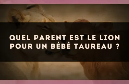 Quel parent est le Lion pour un bébé Taureau ?