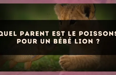 Quel parent est le Poissons pour un bébé Lion ?