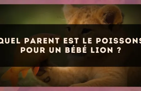 Quel parent est le Poissons pour un bébé Lion ?
