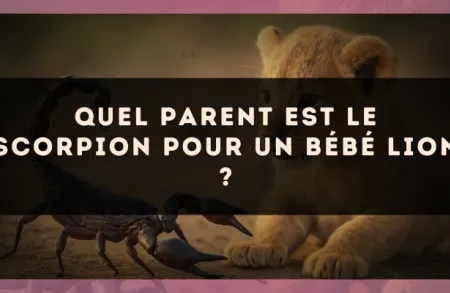 Quel parent est le Scorpion pour un bébé Lion ?