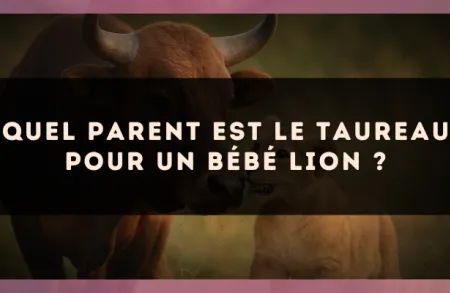 Quel parent est le Taureau pour un bébé Lion ?