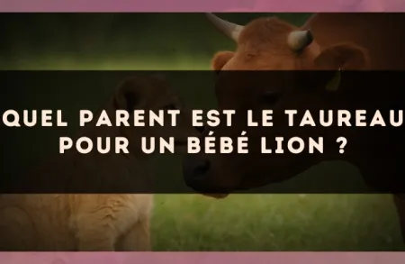 Quel parent est le Taureau pour un bébé Lion ?