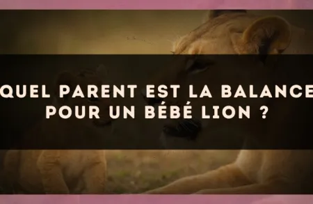 Quel parent est la Balance pour un bébé Lion ?