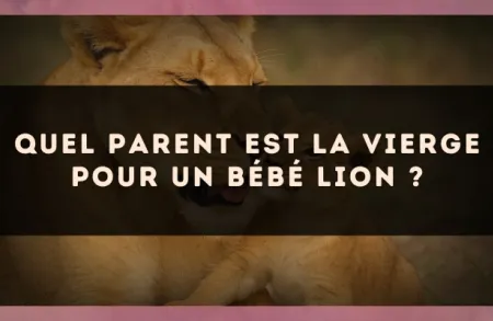 Quel parent est la Vierge pour un bébé Lion ?