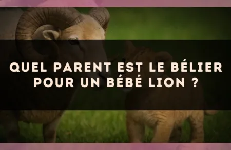 Quel parent est le Bélier pour un bébé Lion ?