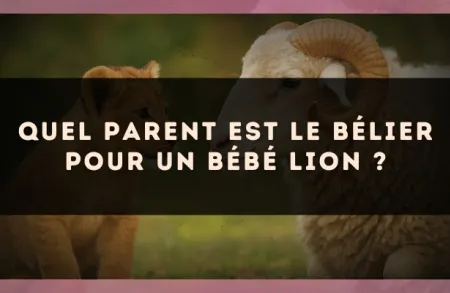 Quel parent est le Bélier pour un bébé Lion ?