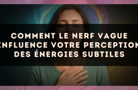 Comment le nerf vague influence votre perception des énergies subtiles